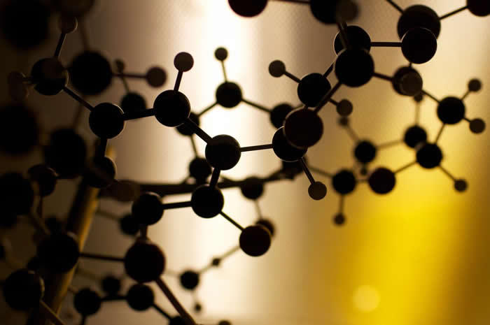 һ����Ϊ������֮������The Tangled Tree�������飬������Ϊʲô�ݻ��ʹ����������Ĳ���һģһ���������������Լ��8%���ɲ���DNA���ɣ�����������