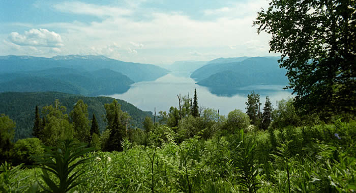 世界上保留野生自然区域比例最多的是俄罗斯 加拿大和澳大利亚紧随其后