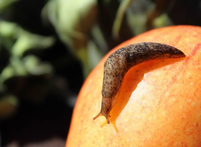 �Ĵ�����19�����Ӵ�ĳ��±������Ⱦ���ݹ�Բ�߳没 8���ȥ��