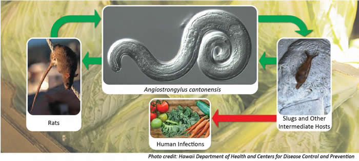 �Ĵ�����19�����Ӵ�ĳ��±������Ⱦ���ݹ�Բ�߳没 8���ȥ��