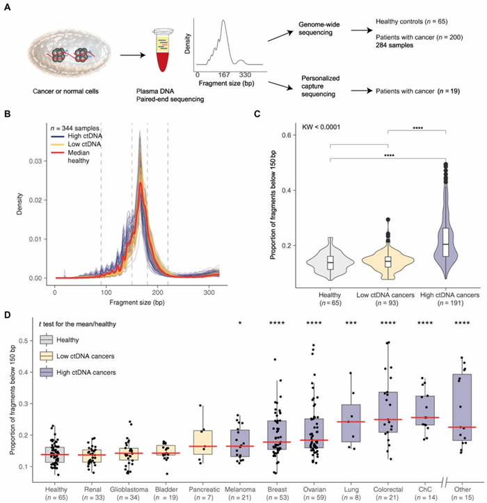 ��������DNAƬ�εĴ�С����߻���ѪҺ�Ķ԰�֢�ļ��