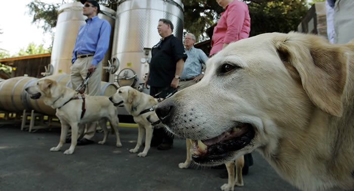 ����������ܳ�Ϊ����ű������������