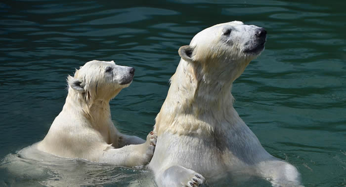 仯ºС ˹ܿʼʳѱ¹