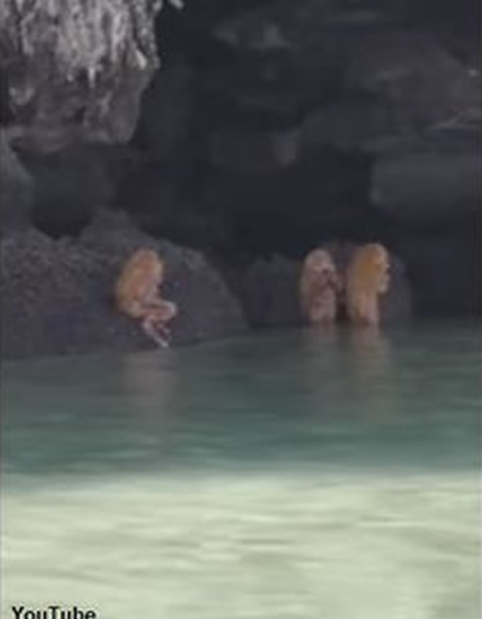泰国海边惊见“半人半猿”谜样生物 诡异笛声伴奏游客呆住