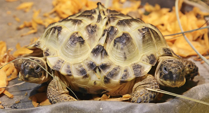 �Űͱ��Ƕ������ʡ���ֺ����������ڹ�