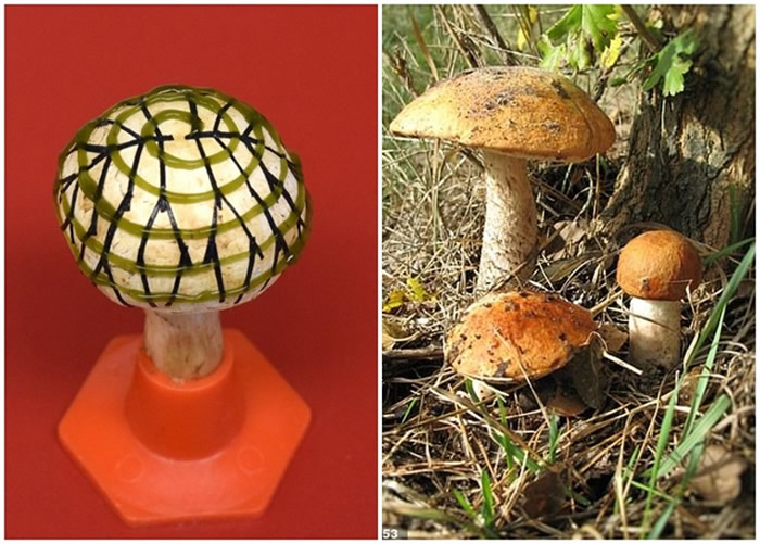 ��ѧ�ҳɹ���Ģ���������īˮ����������