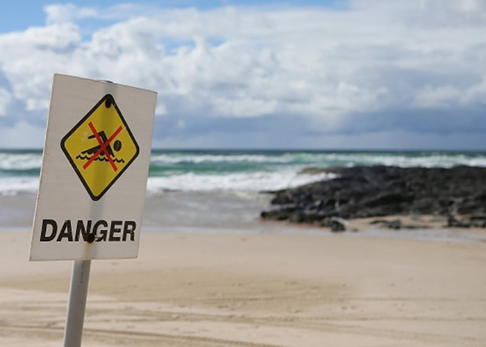 澳洲接连发生鲨鱼咬人事件 2个月5宗