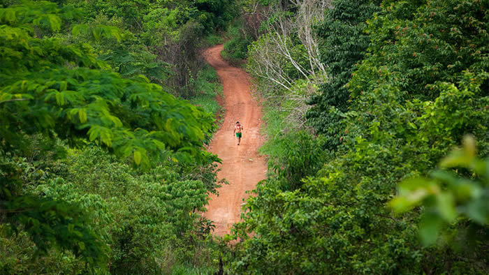 ���԰���������������������Я���ŰĴ�������Ѫͳ�ĺۼ�������֤ʵ����������10400��ǰ���������޵ġ�ͼƬ��Դ��CRAIG STENNETT