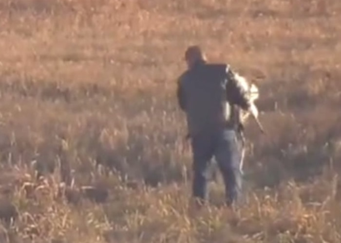 ����һ������ʰ�𱻻��еĶ������١�