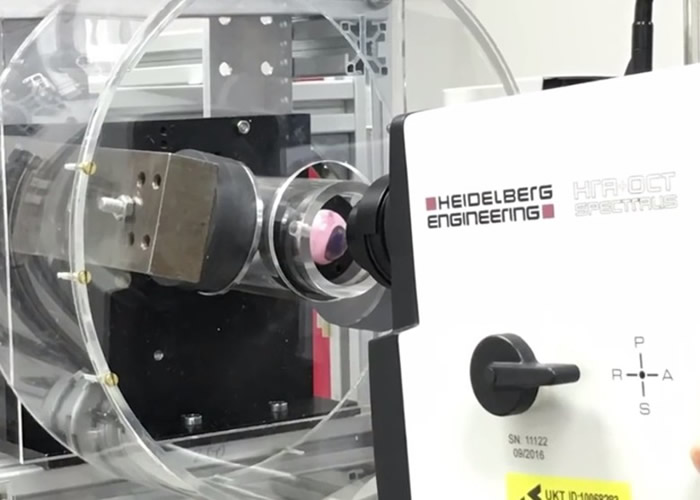 团队在死猪眼球上测试。