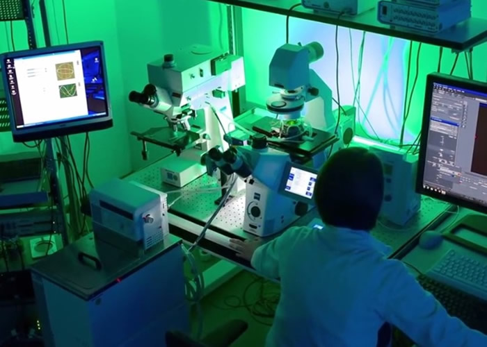 微型机器人由德国马克斯普朗克学院的团队研发。