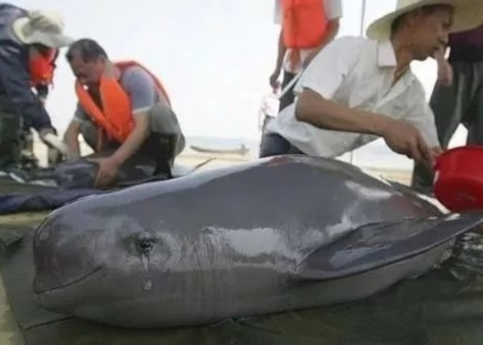 ȥ�갲�������ط������˵Ľ��ࡣ