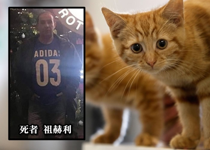 ���������ͼ����Ⱦ�蹷֢������