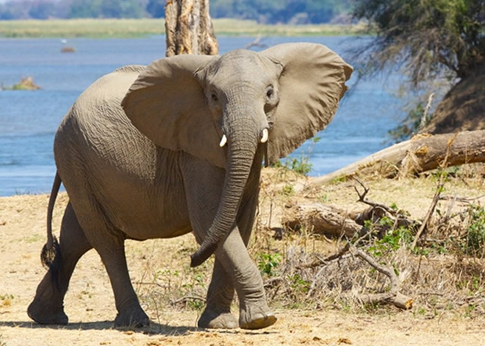 �з��������������С���ơ�