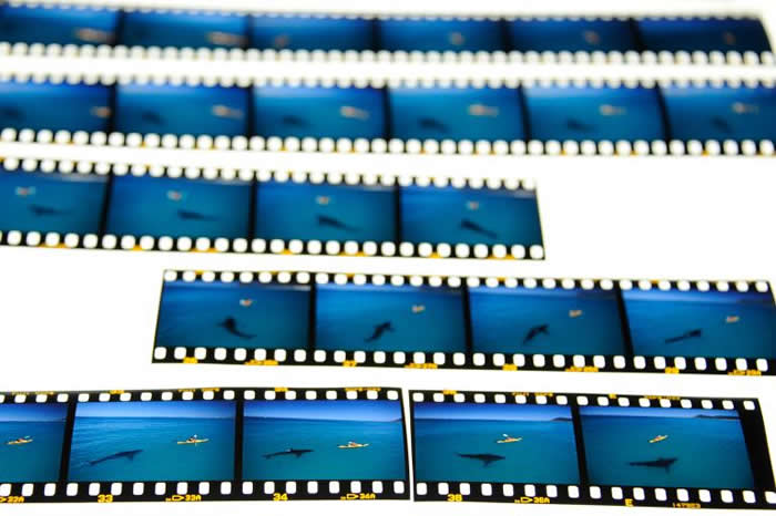 һѳϴĻõƬʾƬʱ̣Ӱʦķ˹˽ƬΪռѧƬ PHOTOGRAPH BY THOMAS P. PES