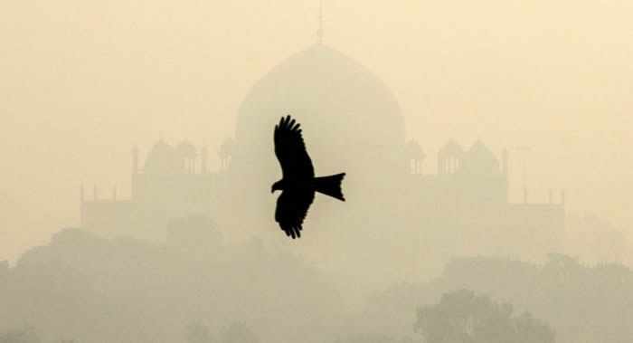 研究表明，尼泊尔和印度为空气污染最严重国家