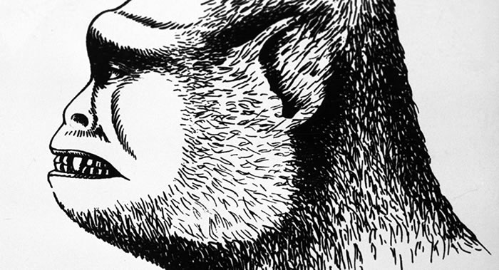 ˹ű˹ݽӰΪѩˣ˵ʳ