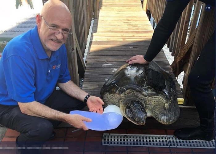 ���޶�Ϊ����������֫��