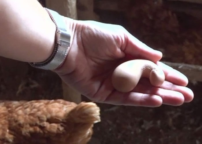 �����巢�֡����Ρ��������������һ����