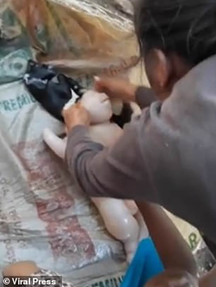 ���ɱ�ũ��������ɽ����¡����˰�������������