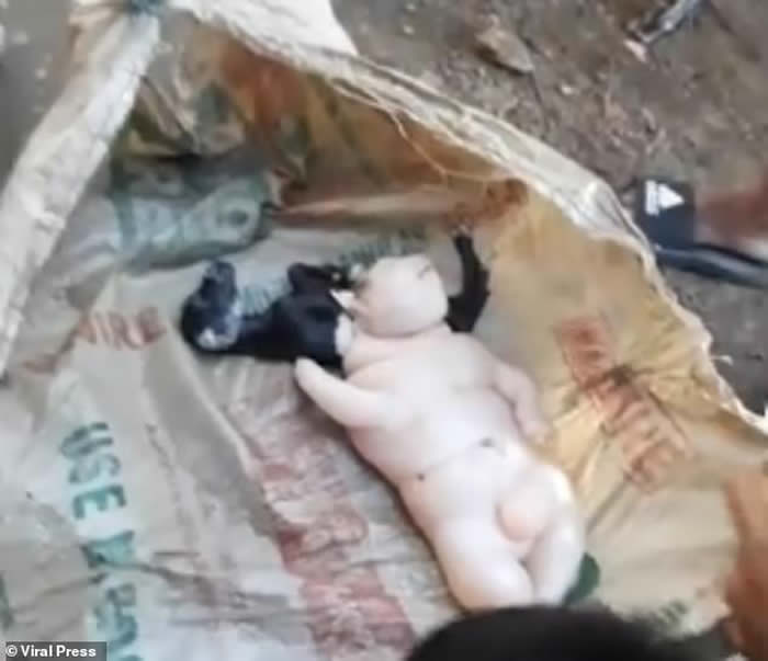 ���ɱ�ũ��������ɽ����¡����˰�������������