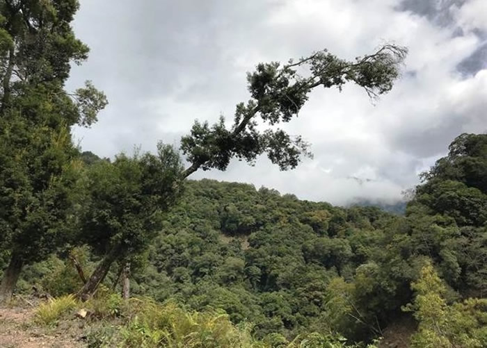 ������Ϣ�Ĵ�����