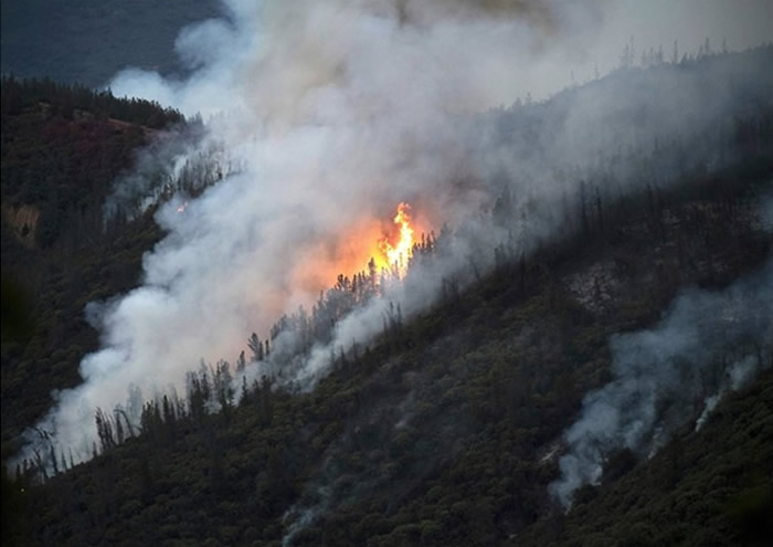 ����ů��ʹ�ɺ��������׷���ɽ��