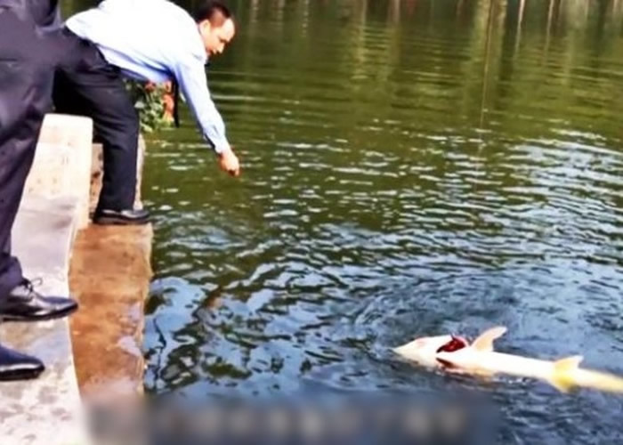 ݷخ˹ھ1.4׳͹ Ϊġh㡱