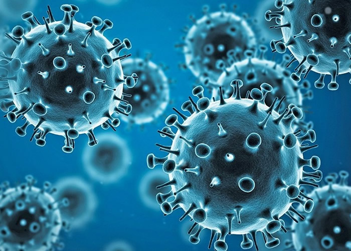 一般病毒检测方式,只可以待病征出现后才可作出诊断。