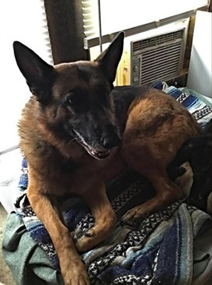 �����������ݵ¹�����Ȯ������й©�������� ��ȫ�һ��Ӣ��