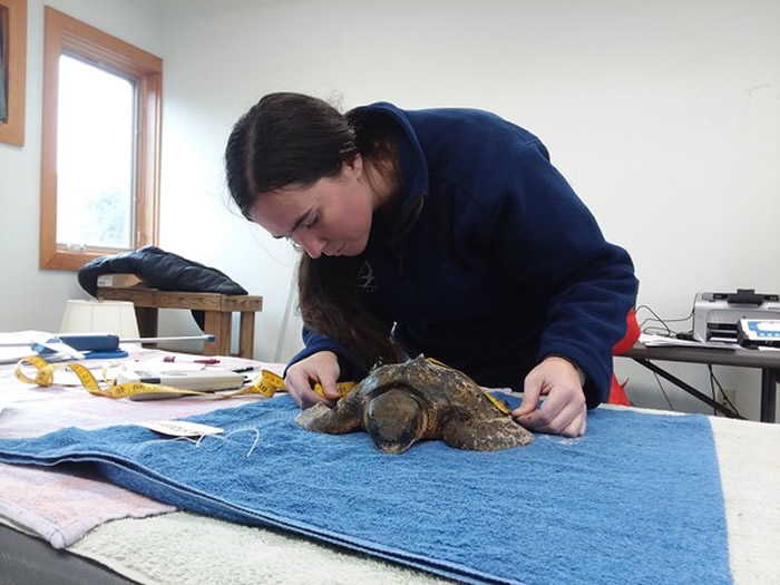 ־������һֻ���˵�С����