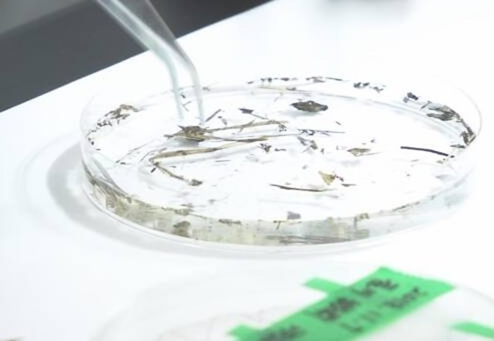 日本9成河流样本含有微胶粒