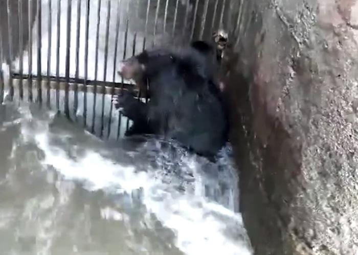 �����ڽ�ˮ��դ��ǰ�ĺ��ܣ����岻ͣ���ļ�ˮ����ˢ��