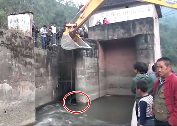 �ֳ���Ա����һ���ھ����׼�����������ĺ��ܣ���Ȧʾ���˷����档