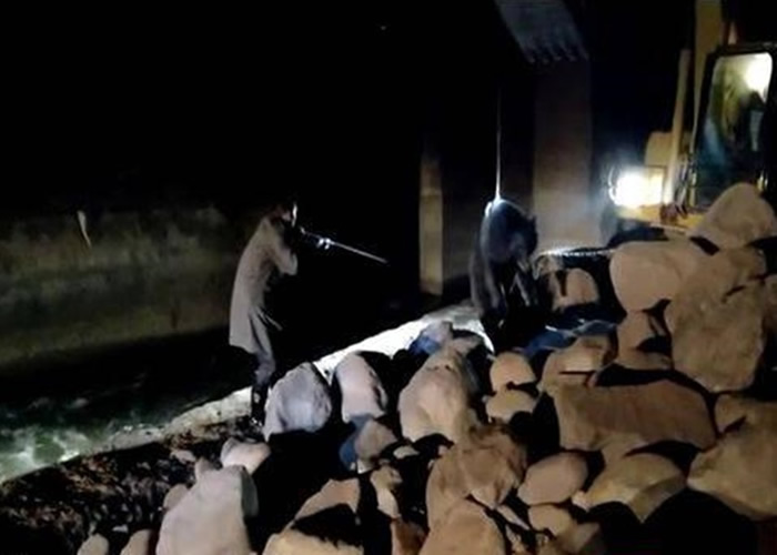 ���ܱ���������󣬶���԰������Ա������ע�������롣