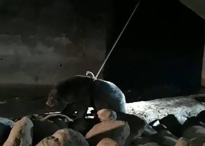 ��������պ󣬺������ڻ�ȡ�