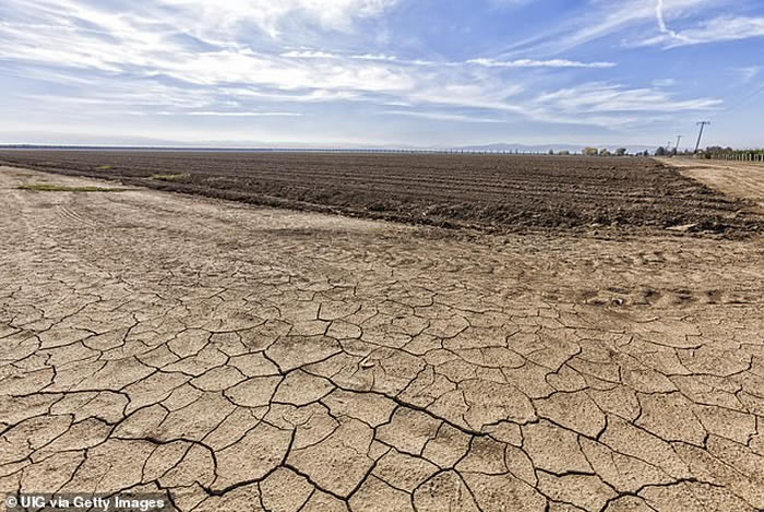 全球粮食系统日益漠视人道主义并且加速气候变化