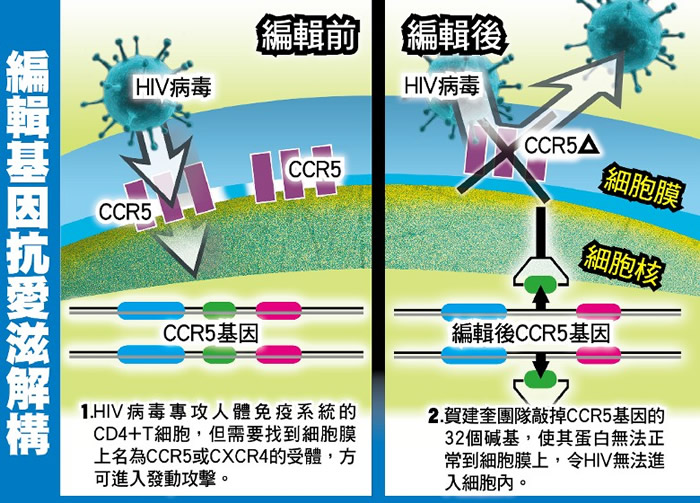 深圳南方科技大学贺建奎另一基因编辑研究 采400人类胚胎