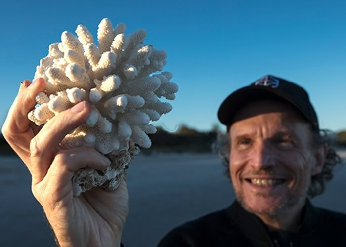 哈里森希望此计划可逆转大堡礁白化。