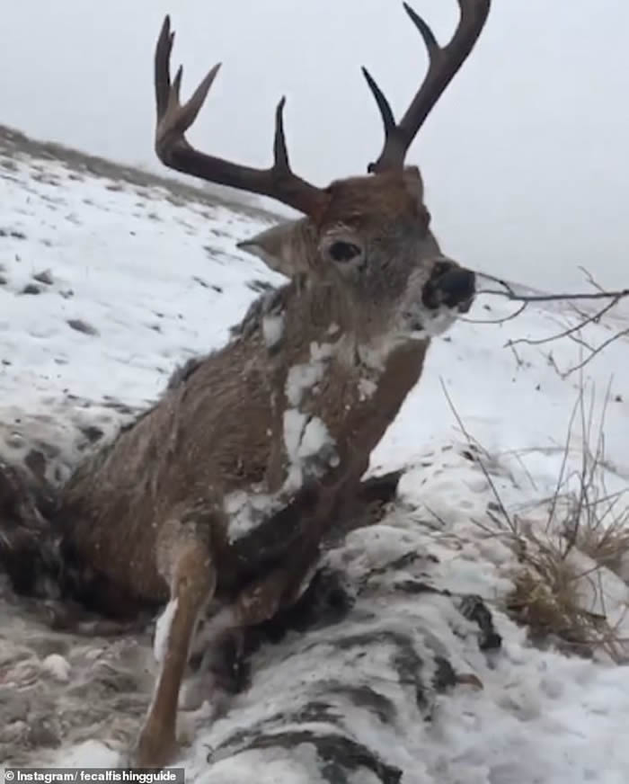 ���ô󰬲���ʡ��¹����ѩ�ز���·�� ˫�����������Ի���