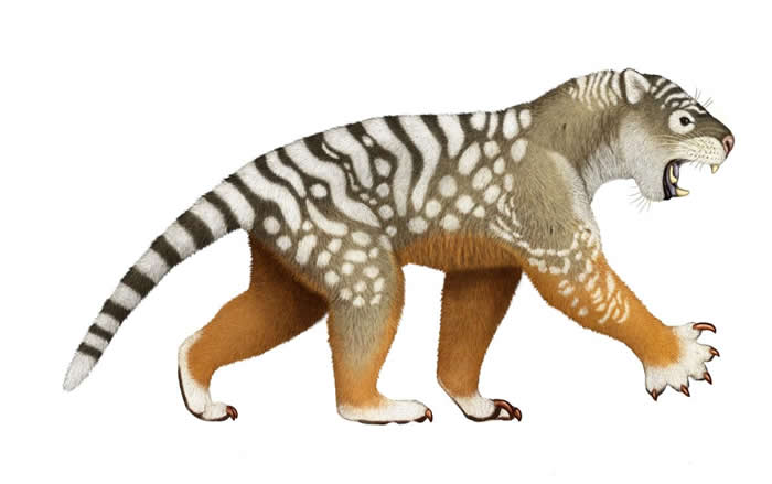 ʨо - ʷдʳʨThylacoleo carnifexֱ4ǰڵϣʱ޴½ԭסص 