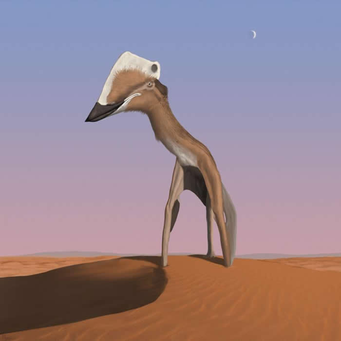 һƳ - Щazhdarchid pterosaurͷǳ޴չƩСɻվʱ߽Ƴ¹廭׵ϰ£ϰޣMi