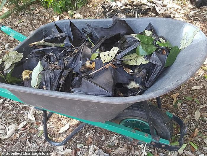 ���޿��5500ֻ������������������