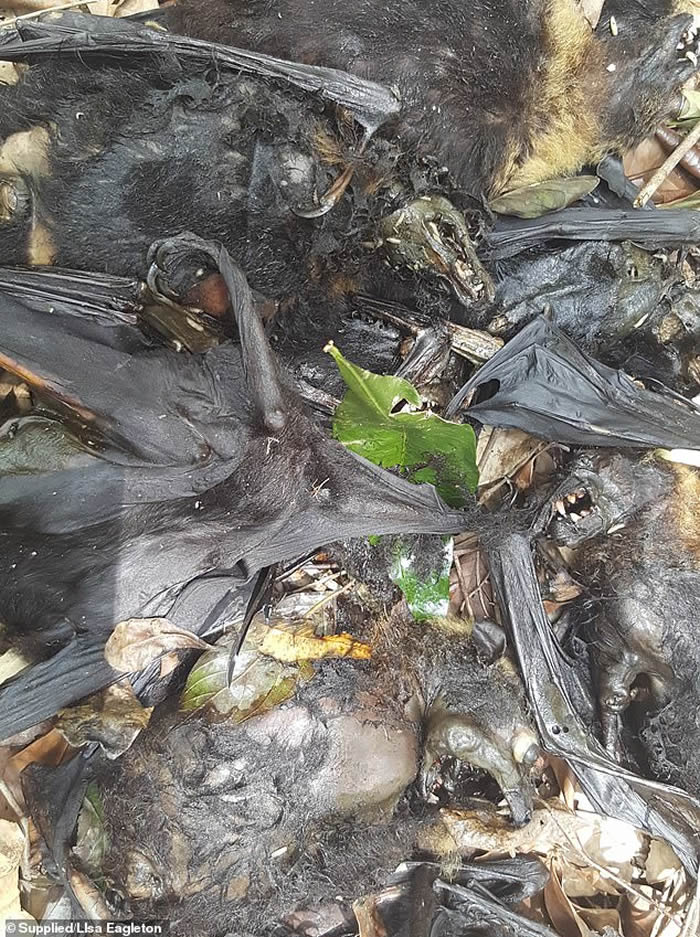 ���޿��5500ֻ������������������