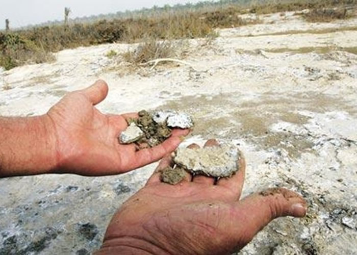 ��ƽ���������������λ�����񻯡�