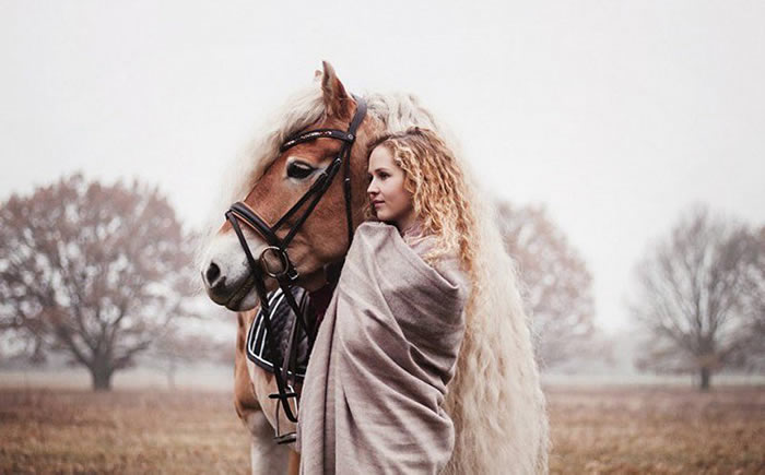 ������һƥ�������˹�ṫ���Ĺ����ָ���