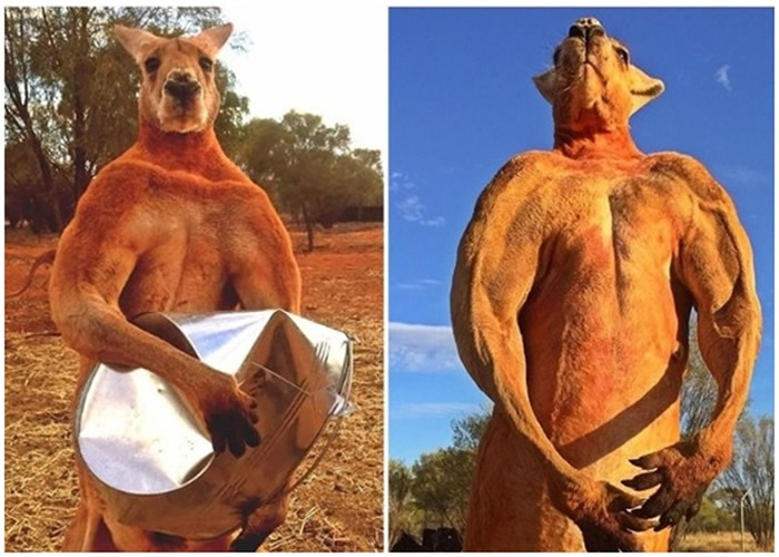 �޽�˹ƾ���伡�������������������