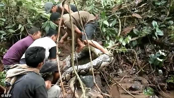 ӡ�������Ŵ���ʡ6���ӱ߲���������ͽ���Ʒ�9�׳���ϑ