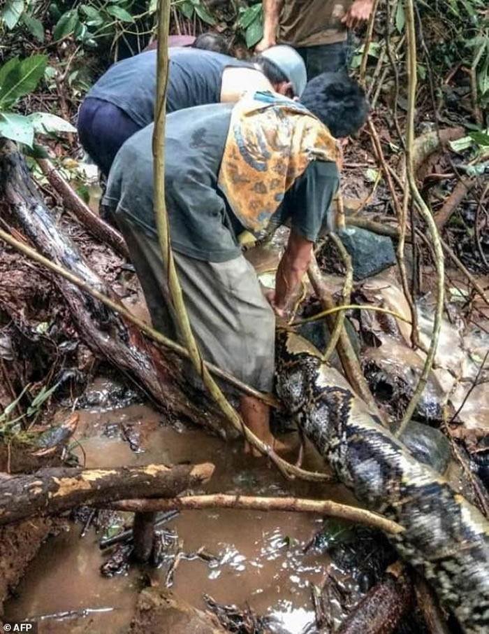 ӡ�������Ŵ���ʡ6���ӱ߲���������ͽ���Ʒ�9�׳���ϑ