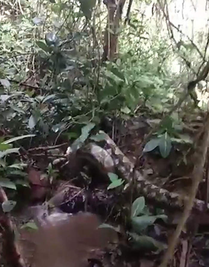 ӡ�������Ŵ���ʡ6���ӱ߲���������ͽ���Ʒ�9�׳���ϑ